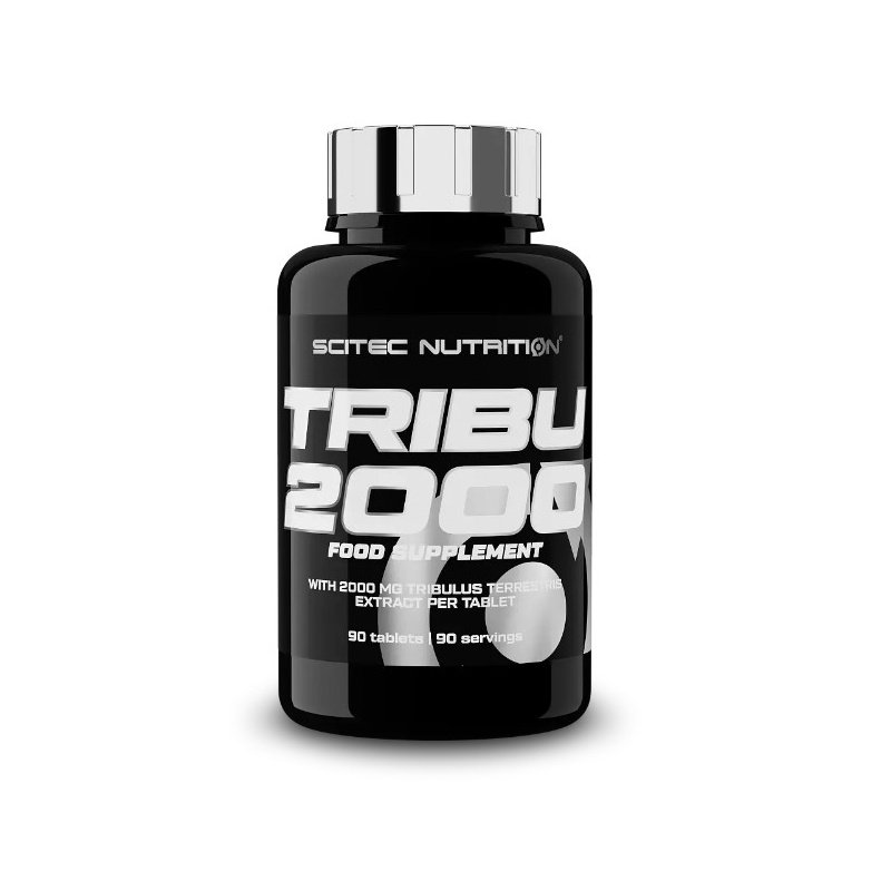 tribu2000.jpg